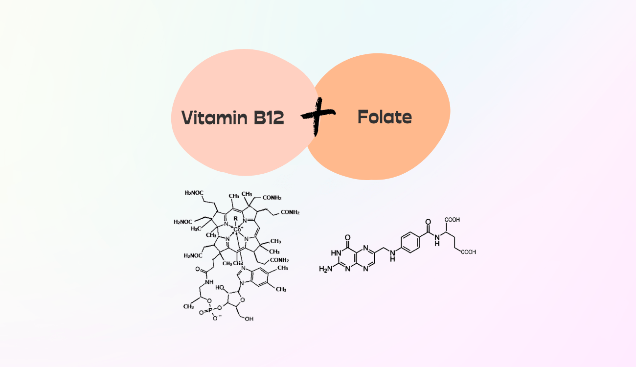 Can You Take Vitamin B12 and Folate Together? (11 Benefits Explained) WhyNotNatural Can You Take Vitamin B12 and Folate Together? (11 Benefits Explained) WhyNotNatural