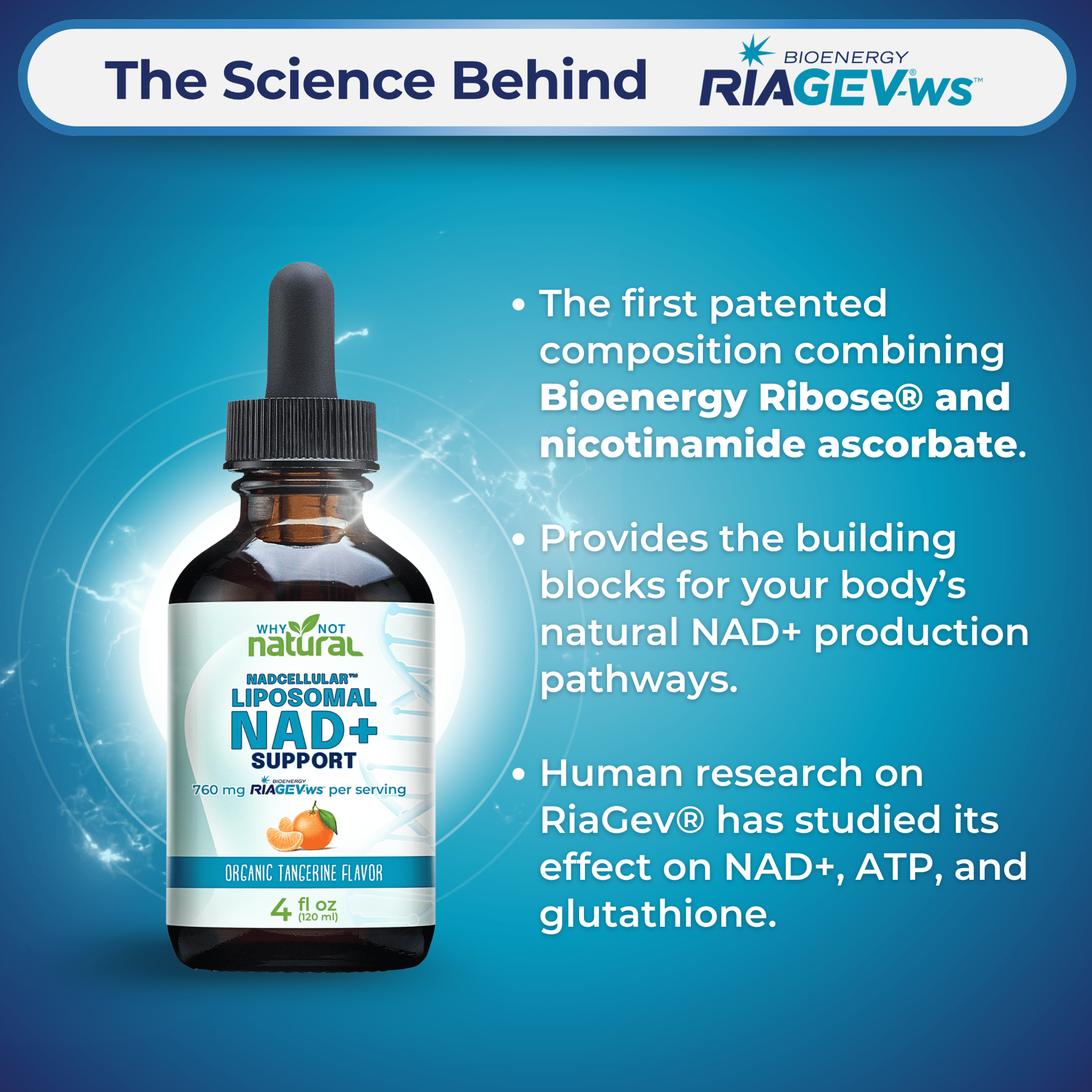 Liposomal NAD+ Support - WhyNotNatural