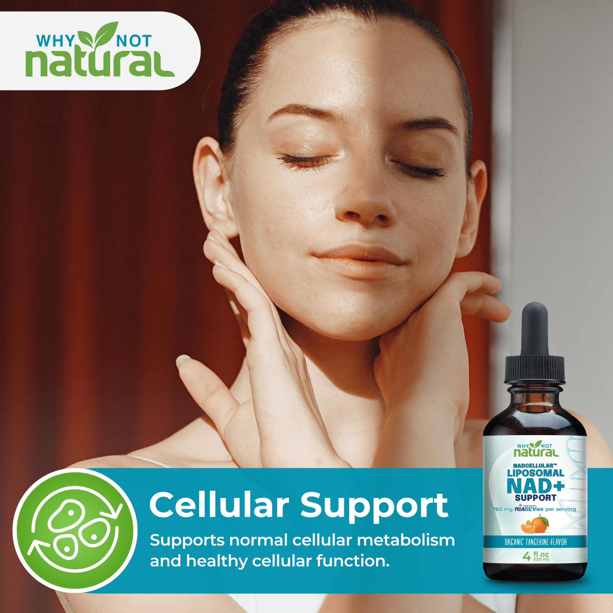 Liposomal NAD+ Support - WhyNotNatural