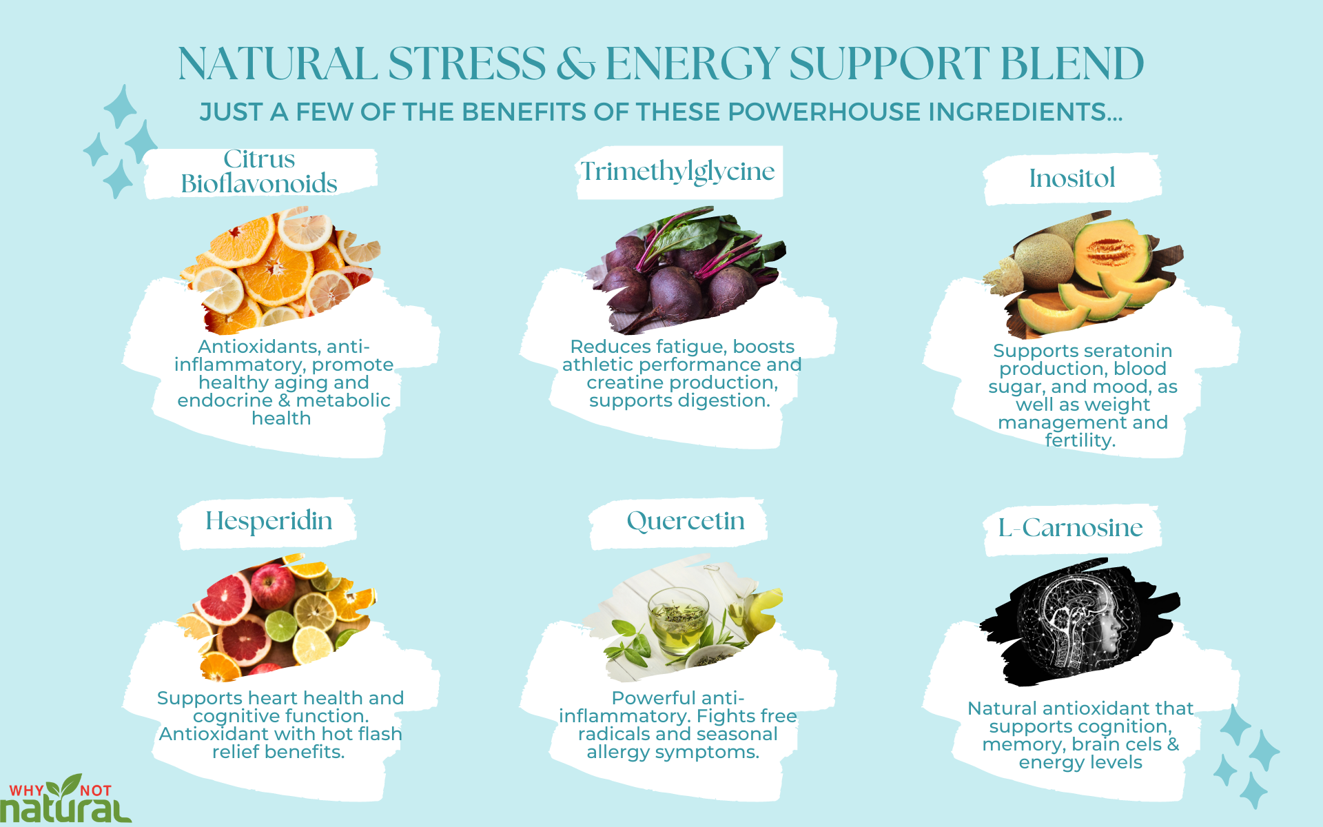 Natural Stress And Energy Support Blend. Citrus Bioflavonoids. Trimethylglycine. Inositol. Hesperidin. Quercetin. L-Carnosine.