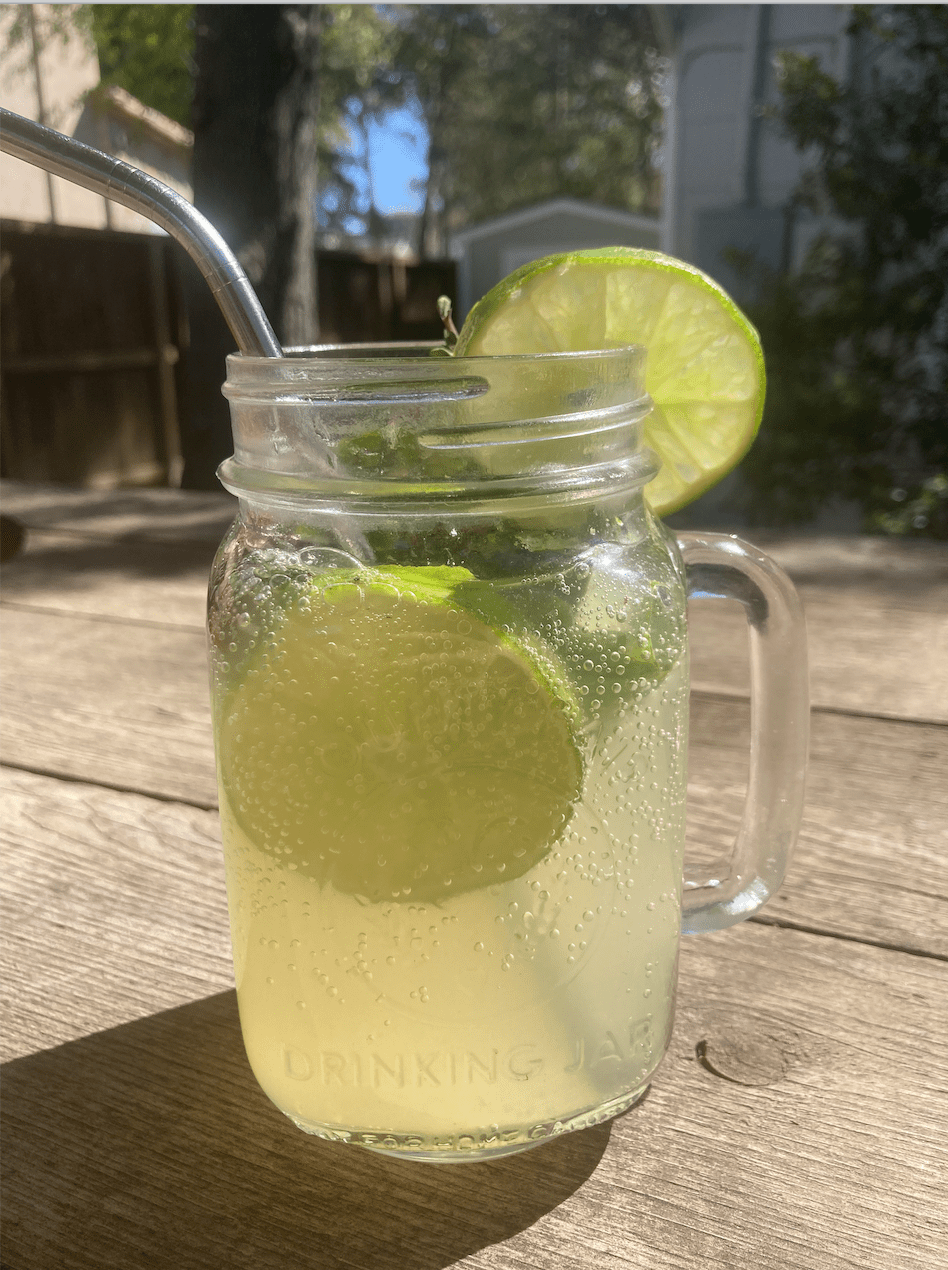 6 Healthy Mocktail Recipes with Benefits - WhyNotNatural