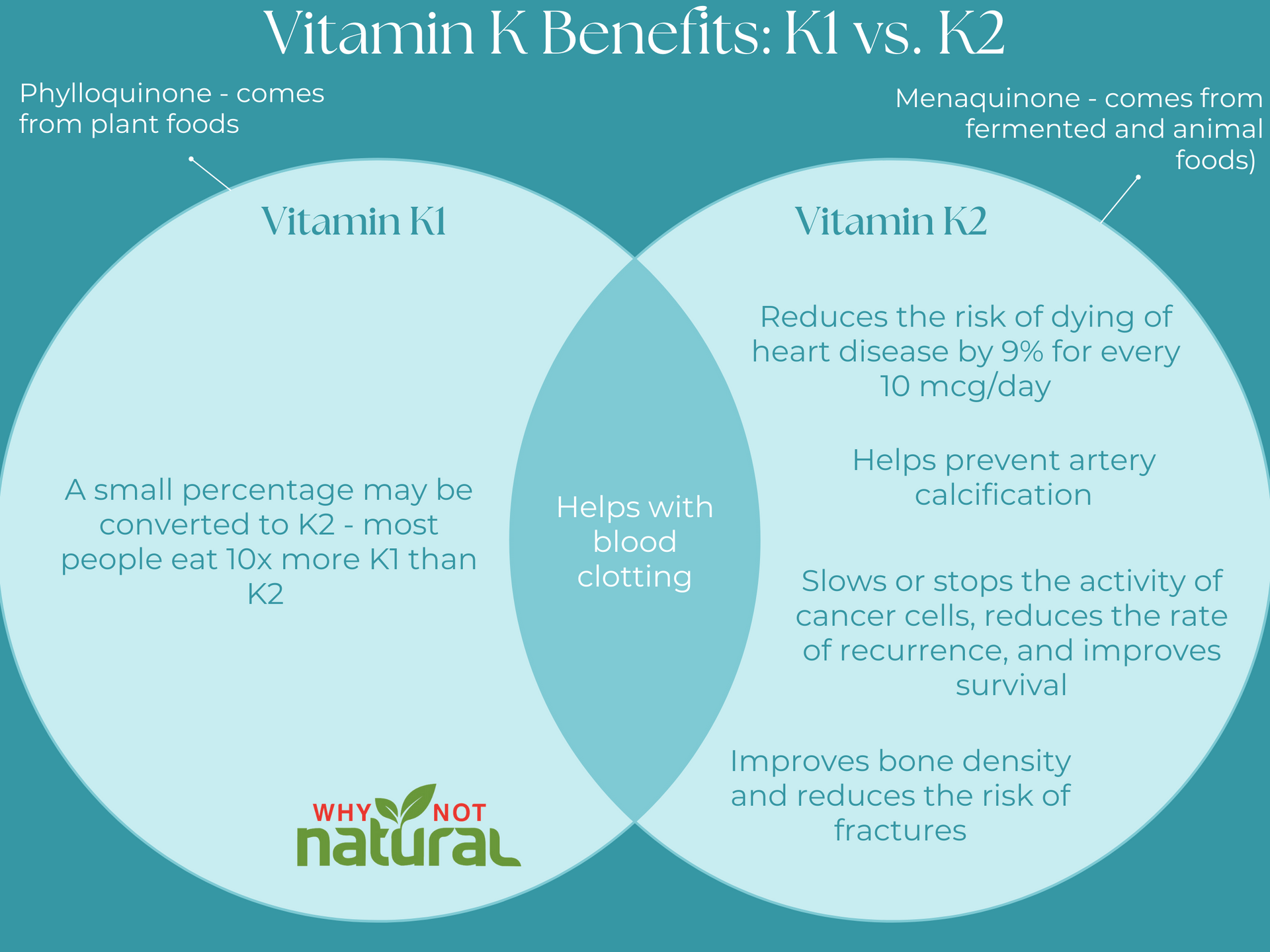 Vitamin K2 vs Vitamin K: So Sánh Chi Tiết và Lợi Ích Cho Sức Khỏe