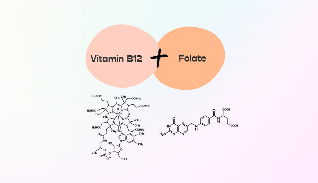 Chemical Structures of Vitamin B12 and Folate