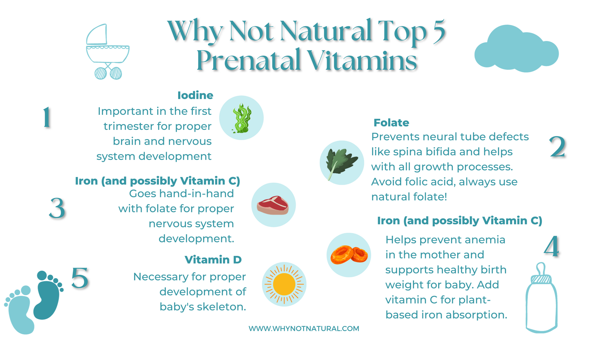 Best Prenatal Vitamins