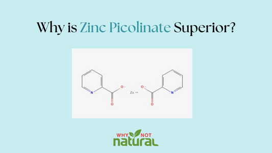 Zinc picolinate molecule - what makes zinc picolinate better?