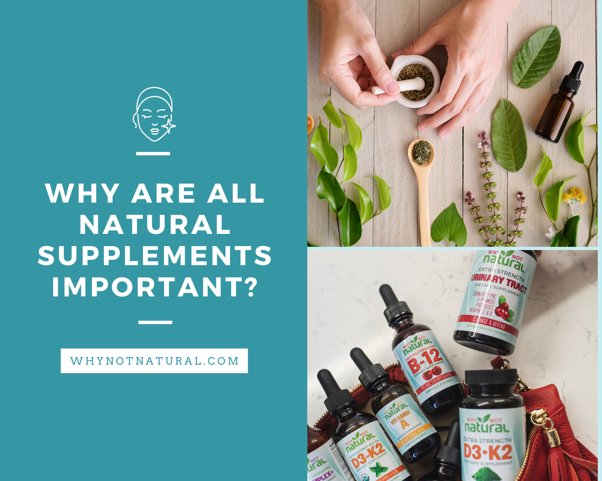 Why are all natural supplements important