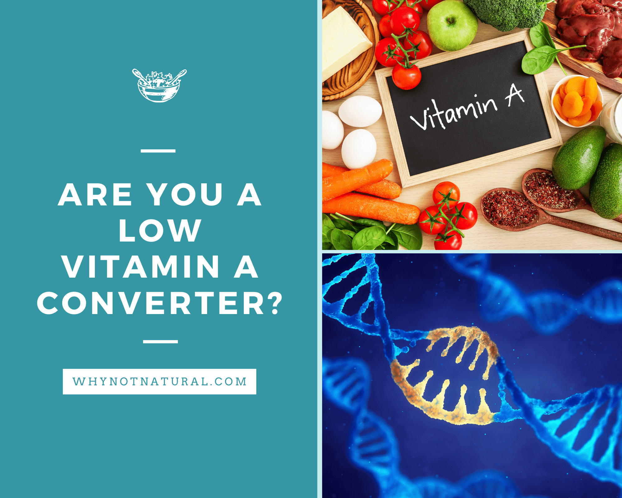 Are You a Beta Carotene to Vitamin A Low Converter? - WhyNotNatural