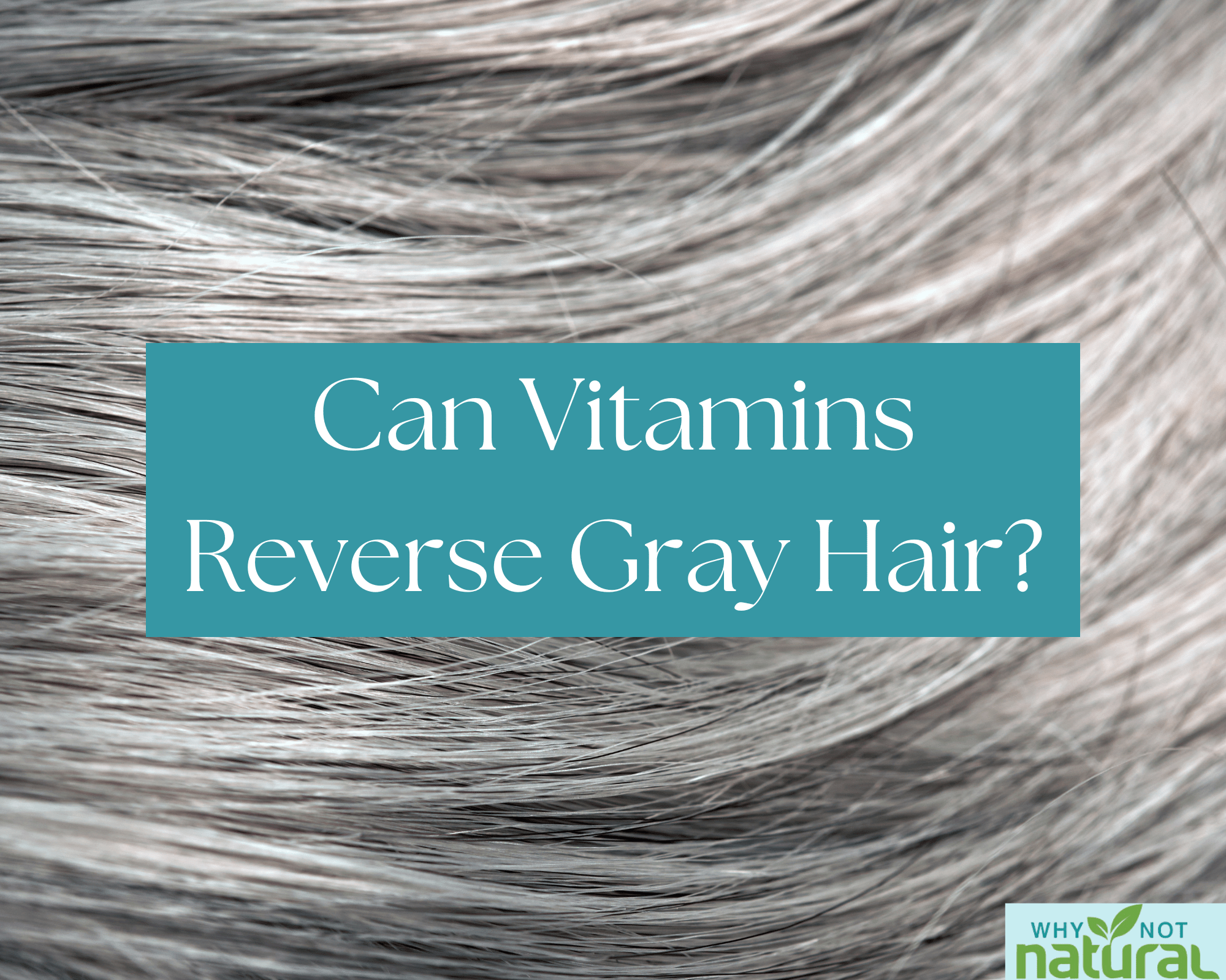Can Vitamins Reverse Gray Hair? – WhyNotNatural