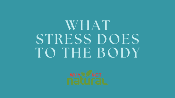 Good Stress vs. Bad Stress - WhyNotNatural