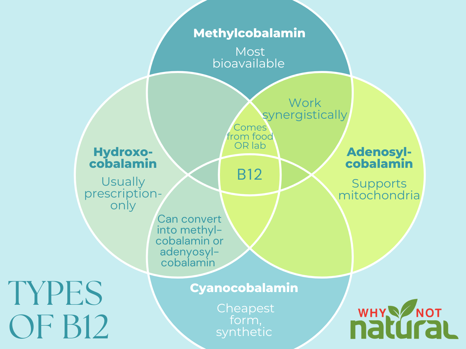 Methylcobalamin vs Cyanocobalamin B12 - WhyNotNatural