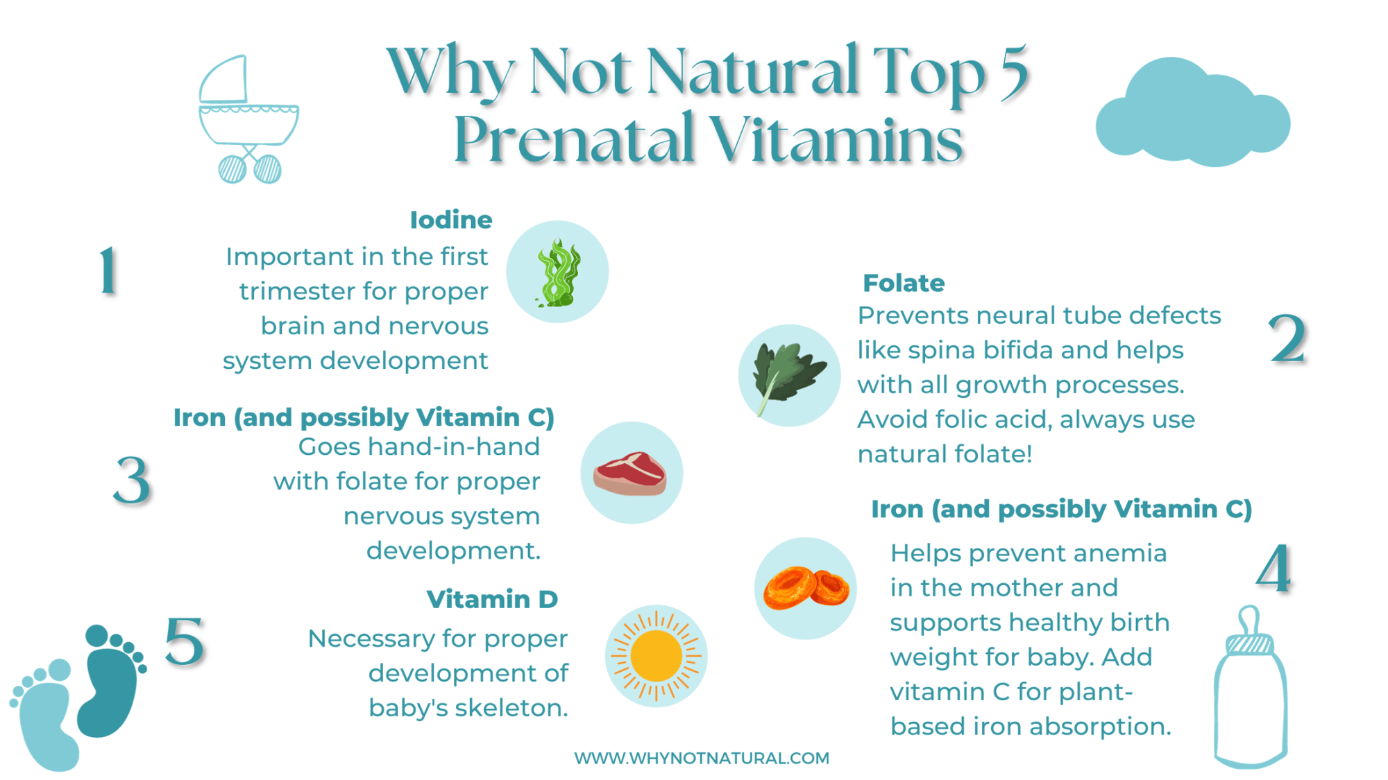 Prenatal Vitamins: What to Focus On During Pregnancy - WhyNotNatural
