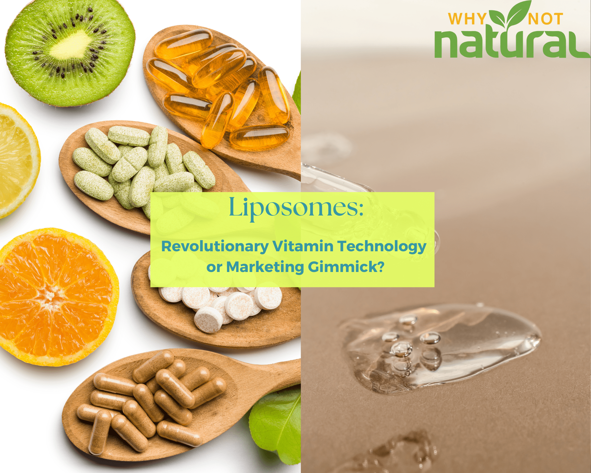 The Liposome: Revolutionary Vitamin Technology or Marketing Gimmick? - WhyNotNatural
