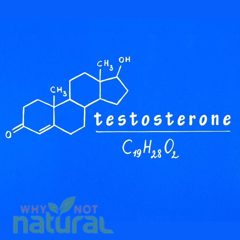Top 7 Supplements Proven to Skyrocket Testosterone Levels - WhyNotNatural