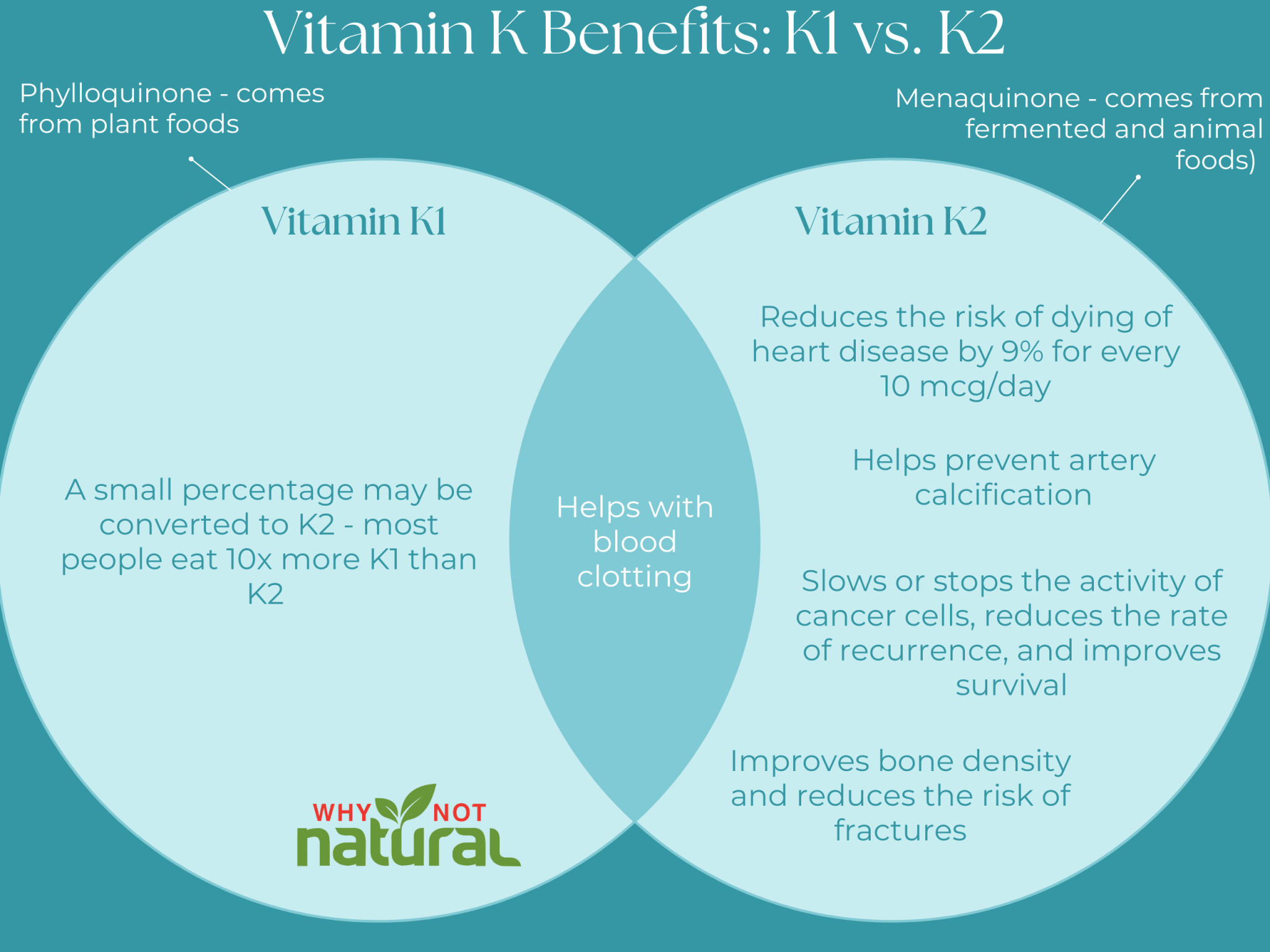 Vitamin K2 Benefits - WhyNotNatural