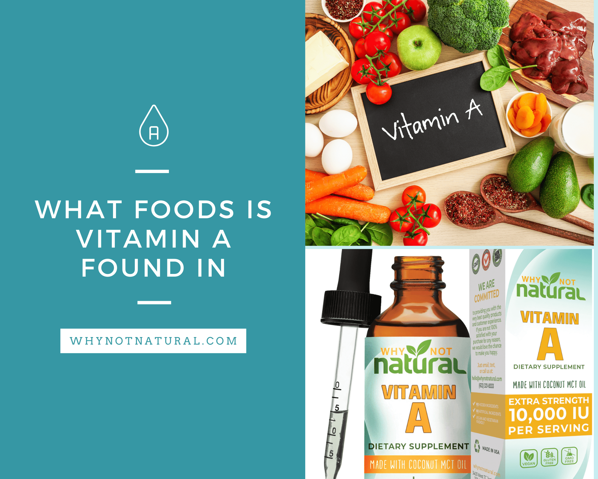 What Foods Is Vitamin A Found In? - WhyNotNatural