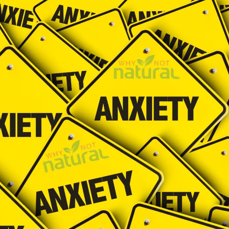 What Supplements Help With Anxiety? (10 Evidence Based Picks) - WhyNotNatural
