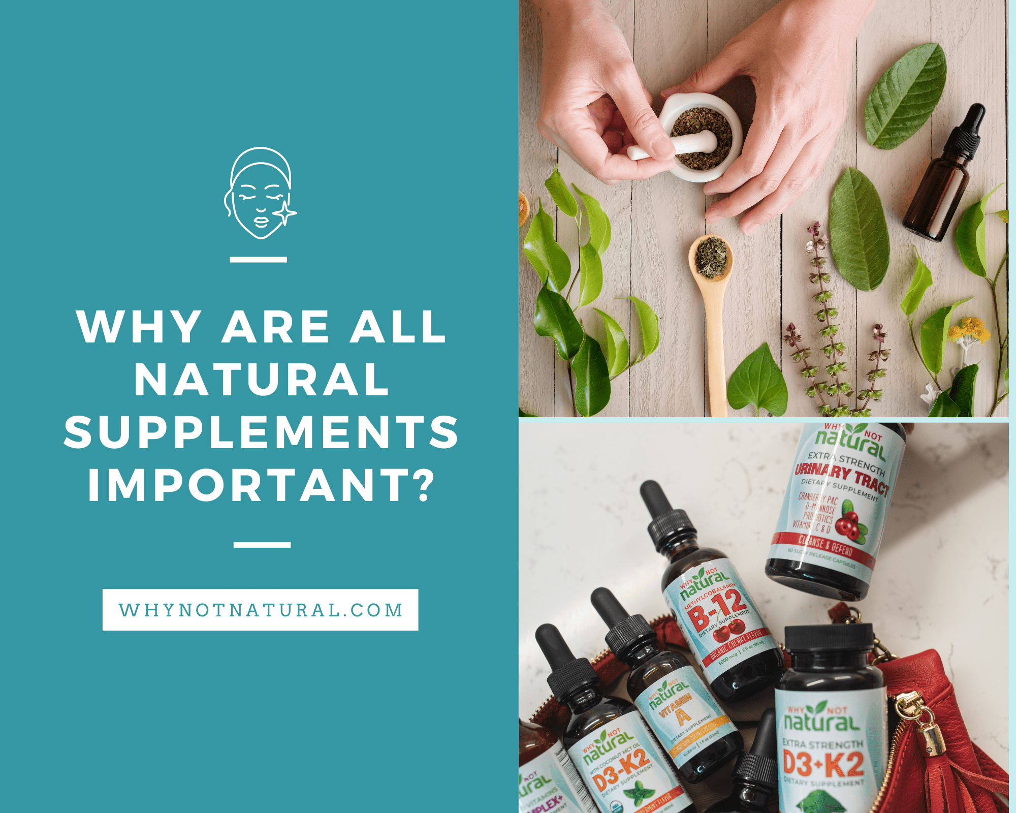 Why Choosing High-Quality Supplements Matters - WhyNotNatural