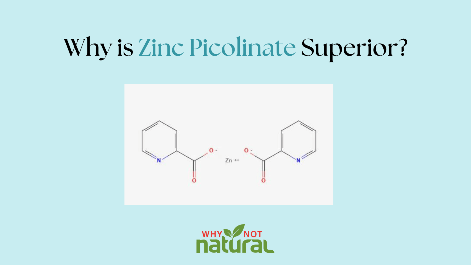 Why is Zinc Picolinate Superior? - WhyNotNatural