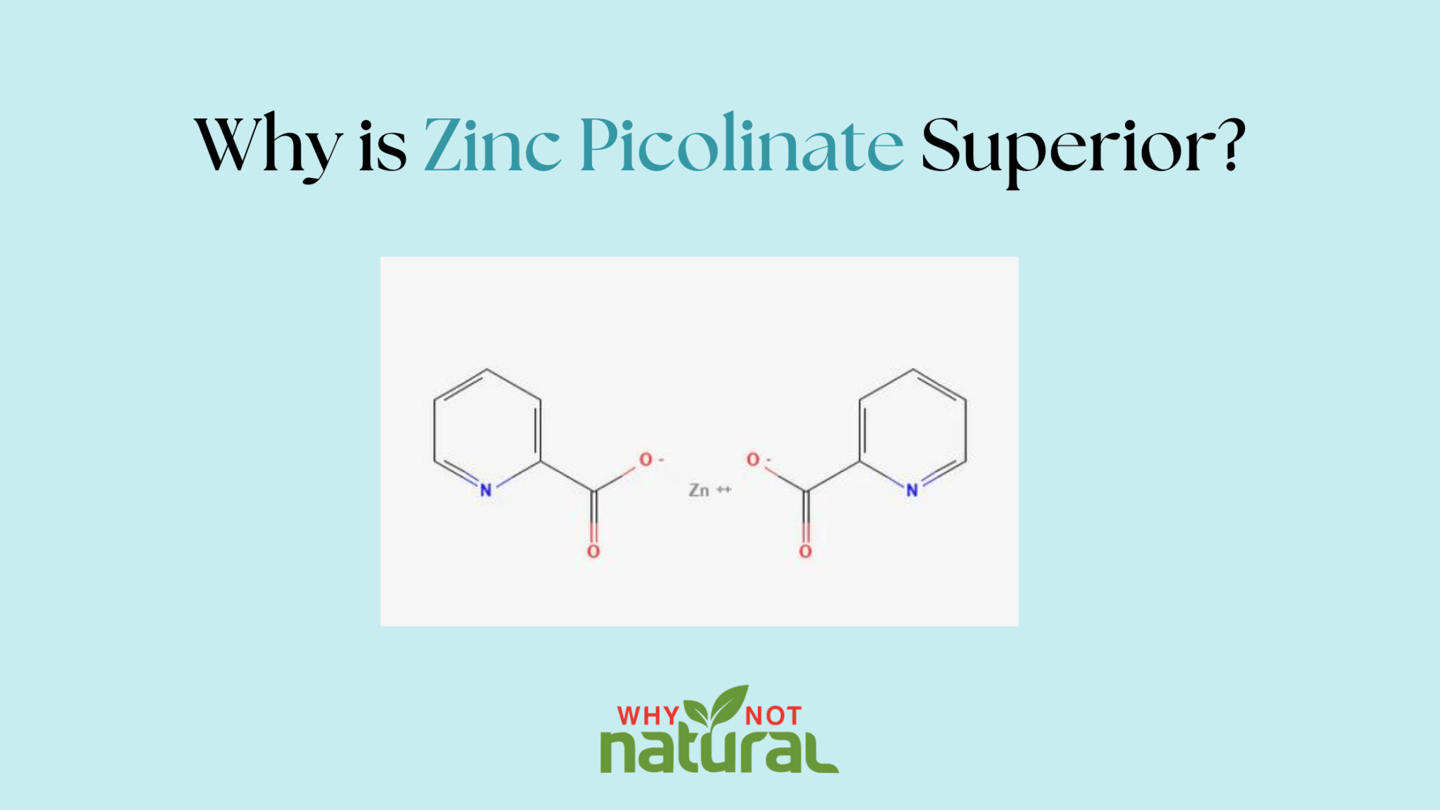 Why is Zinc Picolinate Superior? - WhyNotNatural
