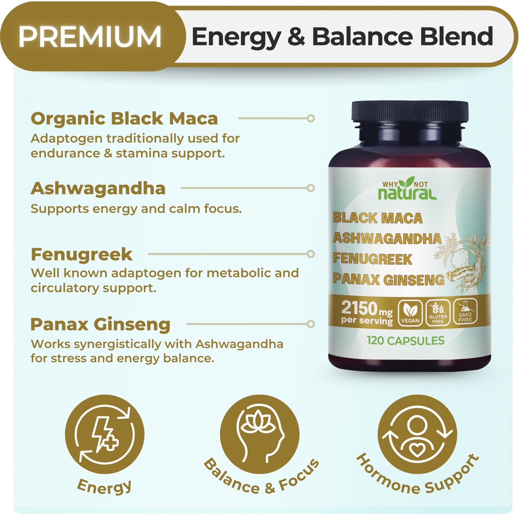4 - in - 1 Black Maca+ Blend - WhyNotNatural