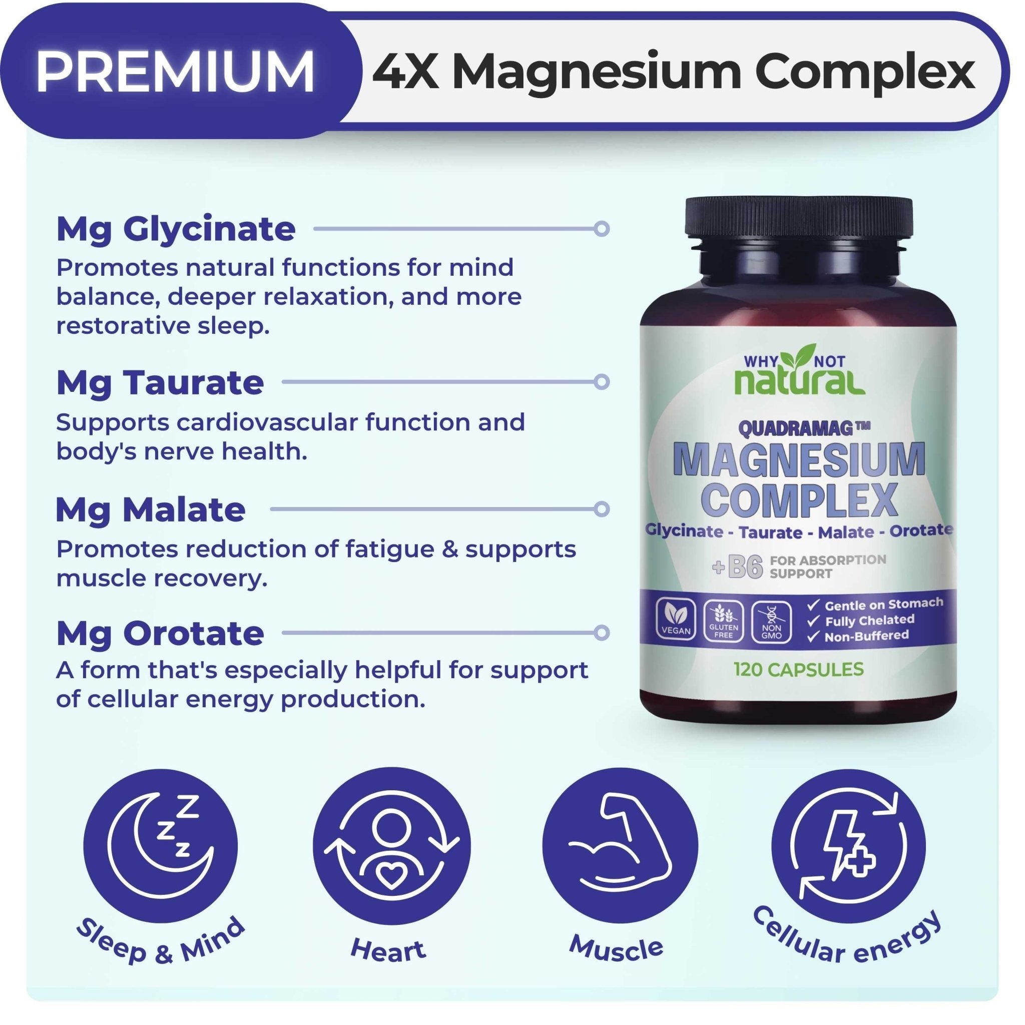 4-in-1 Magnesium Complex - WhyNotNatural