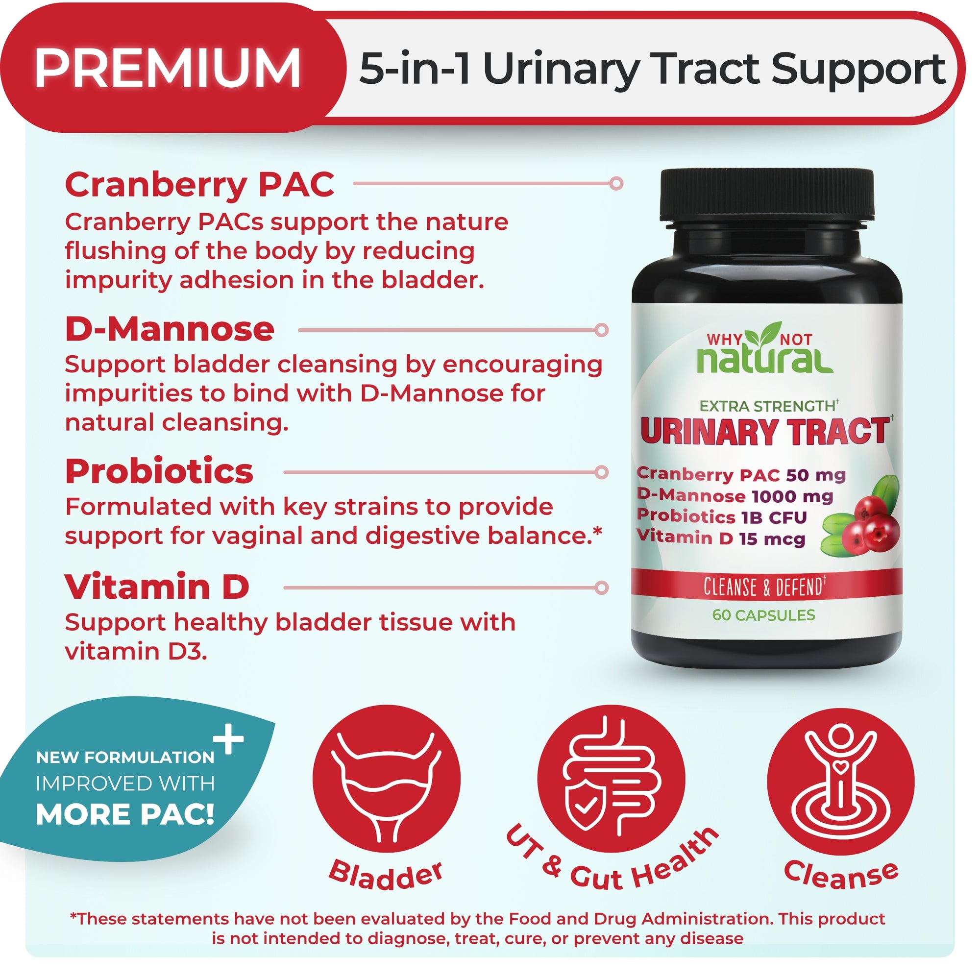 main benefits of UTI capsules, highlighting the use for Bladder, UT & Gut health and cleanse. 