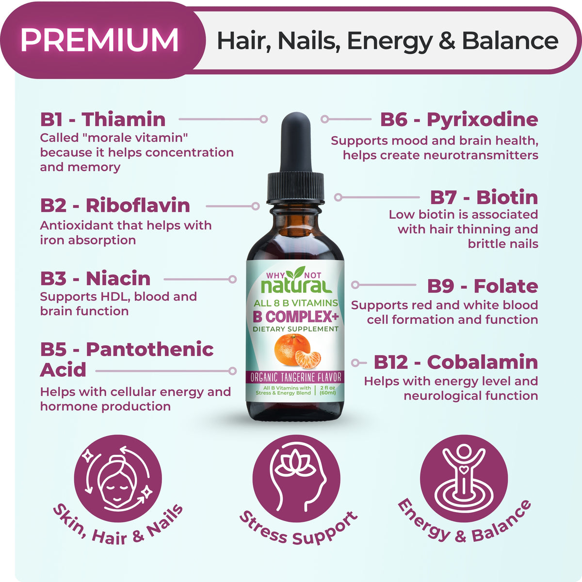 Why Not Natural B Complex+ infographic highlighting all 8 B vitamins, including B1, B2, B3, B5, B6, B7, B9, and B12, for hair, nails, energy, stress support, and balance.