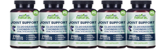 Glucosamine Chondroitin MSM, Joint Support