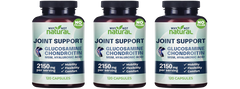 Glucosamine Chondroitin MSM, Joint Support