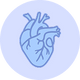 Heart & Nerve Support