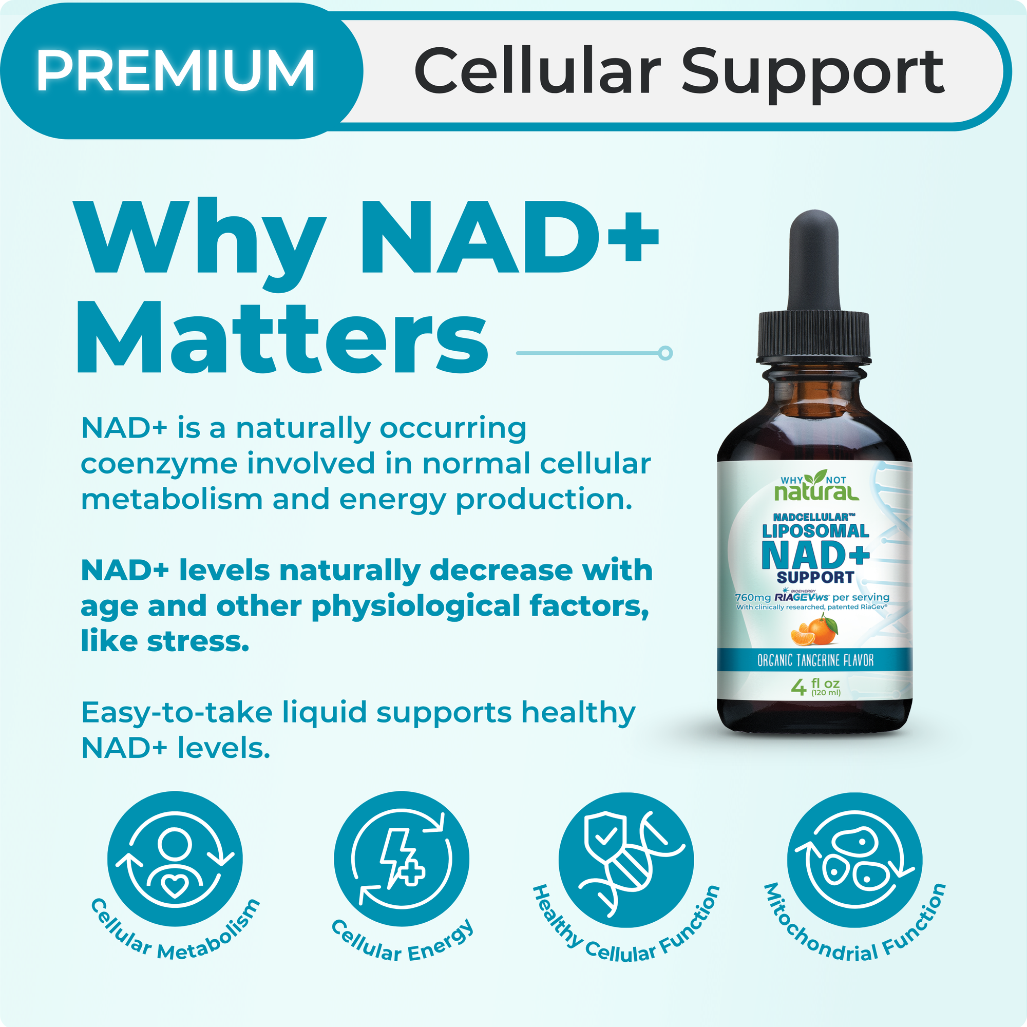 A promotional graphic for a liquid supplement bottle labeled 'NAD+ Liposomal NAD+ Support' on a pale blue background. The image includes marketing text about NAD+ and four teal icons related to cellular metabolism, energy, healthy cellular function, and mitochondrial function.