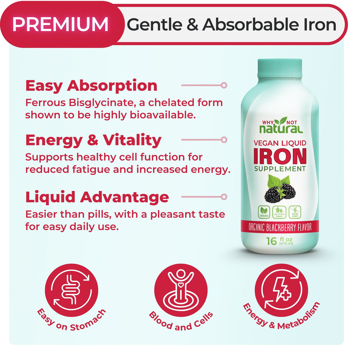 A bottle of Not Natural Vegan Liquid Iron Supplement in Organic Blackberry Flavor, shown on a light blue promotional graphic with text highlighting easy absorption, energy and vitality benefits, and liquid advantage.