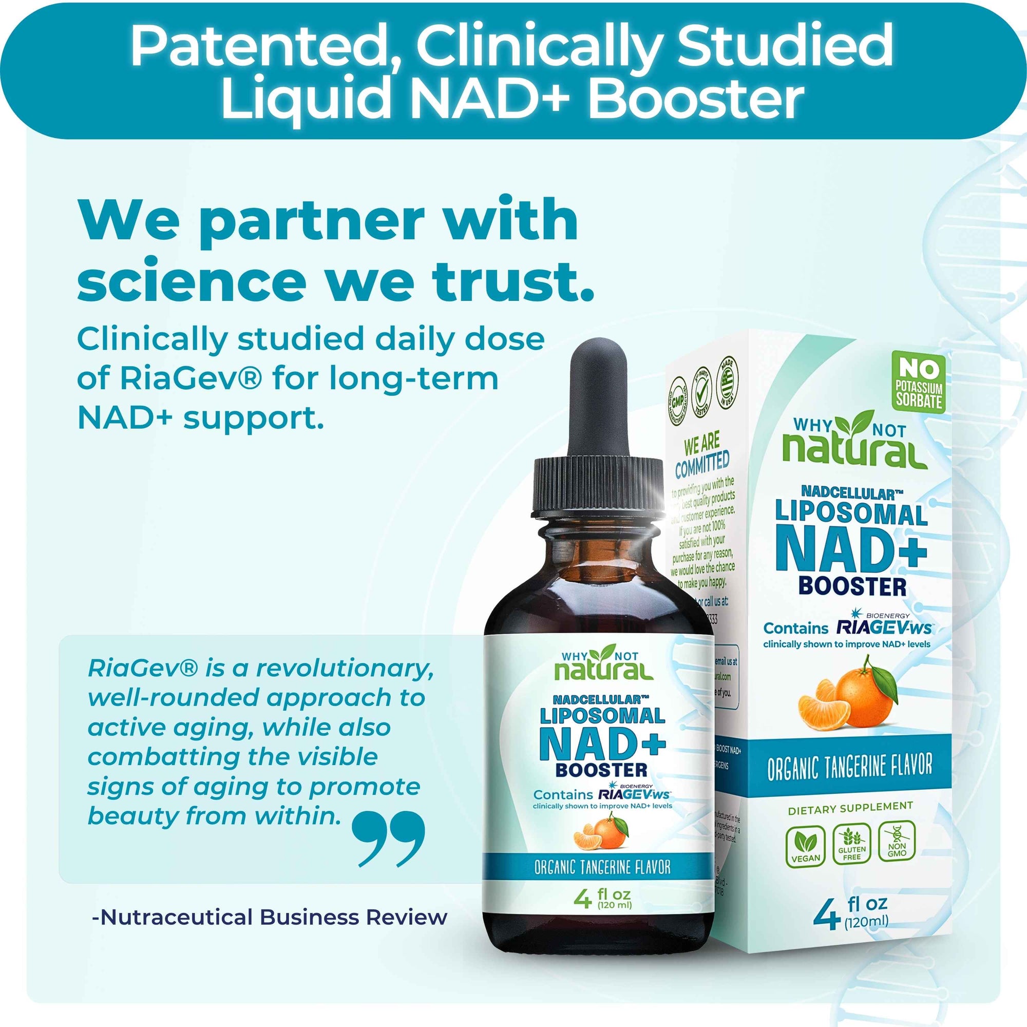 A liquid NAD+ booster supplement shown with its amber dropper bottle and retail box on a light blue promotional background. The product branding reads Why Not Natural and Magdellina Liposomal NAD+ Booster, with flavor text indicating organic tangerine flavor.