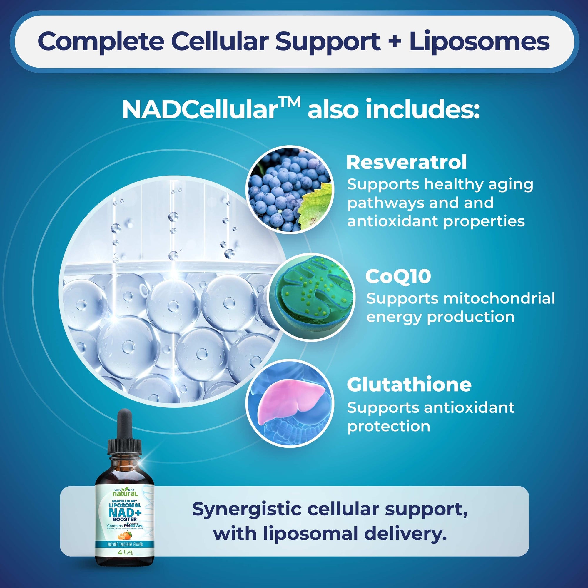NADCellular dietary supplement bottle on a blue promotional graphic with text highlighting included ingredients: resveratrol, CoQ10, and glutathione.