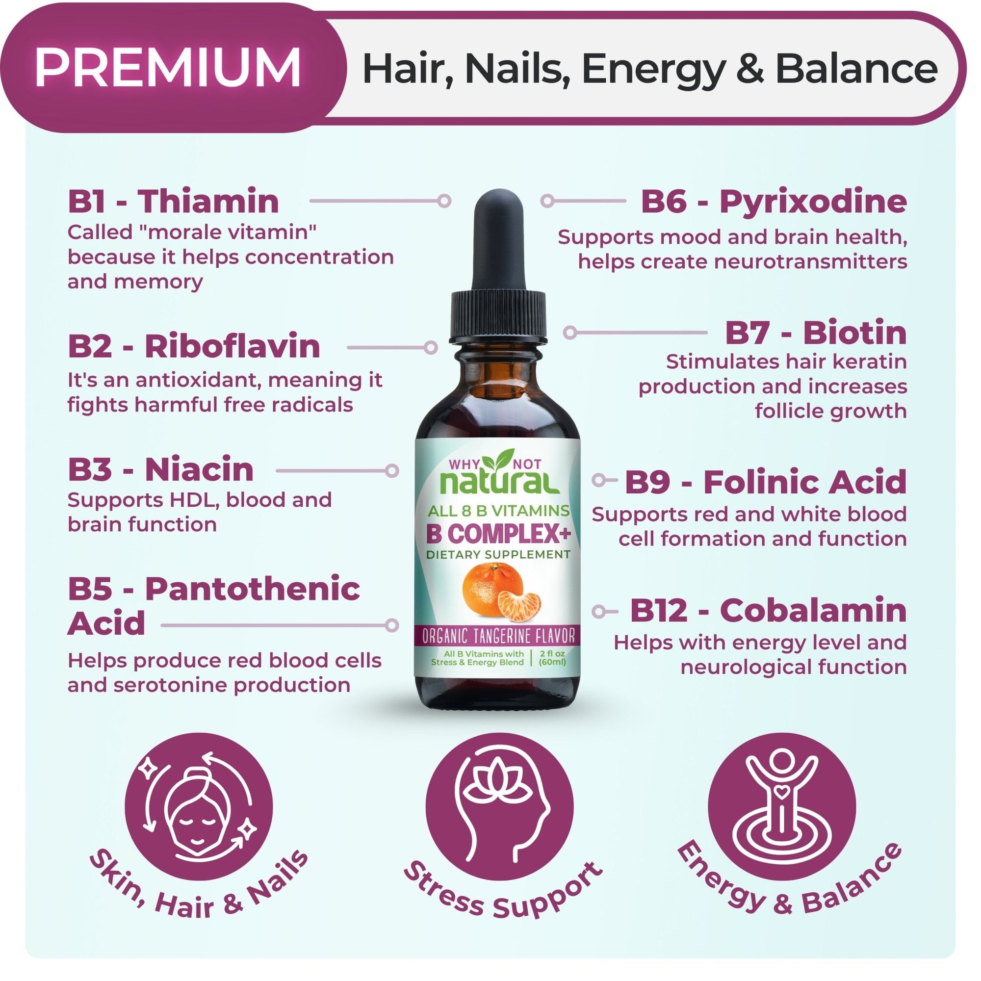 B Complex+ Liquid - WhyNotNatural