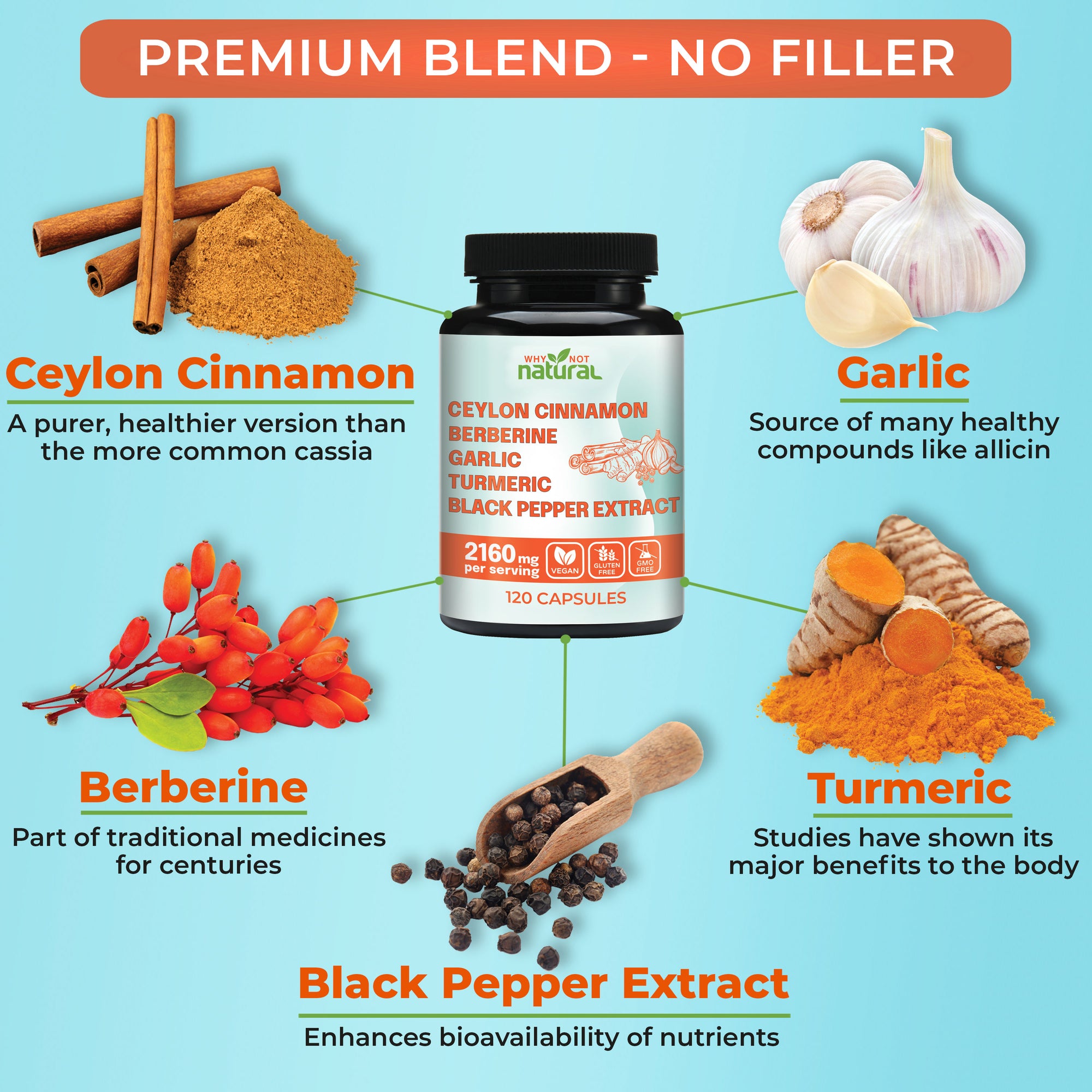 A bottle of ceylon cinnamon blend is in center, surrounded by images of the ingredients and a short benefits description below each: ceylon cinnamon, garlic, berberine, turmeric, and black pepper extract.