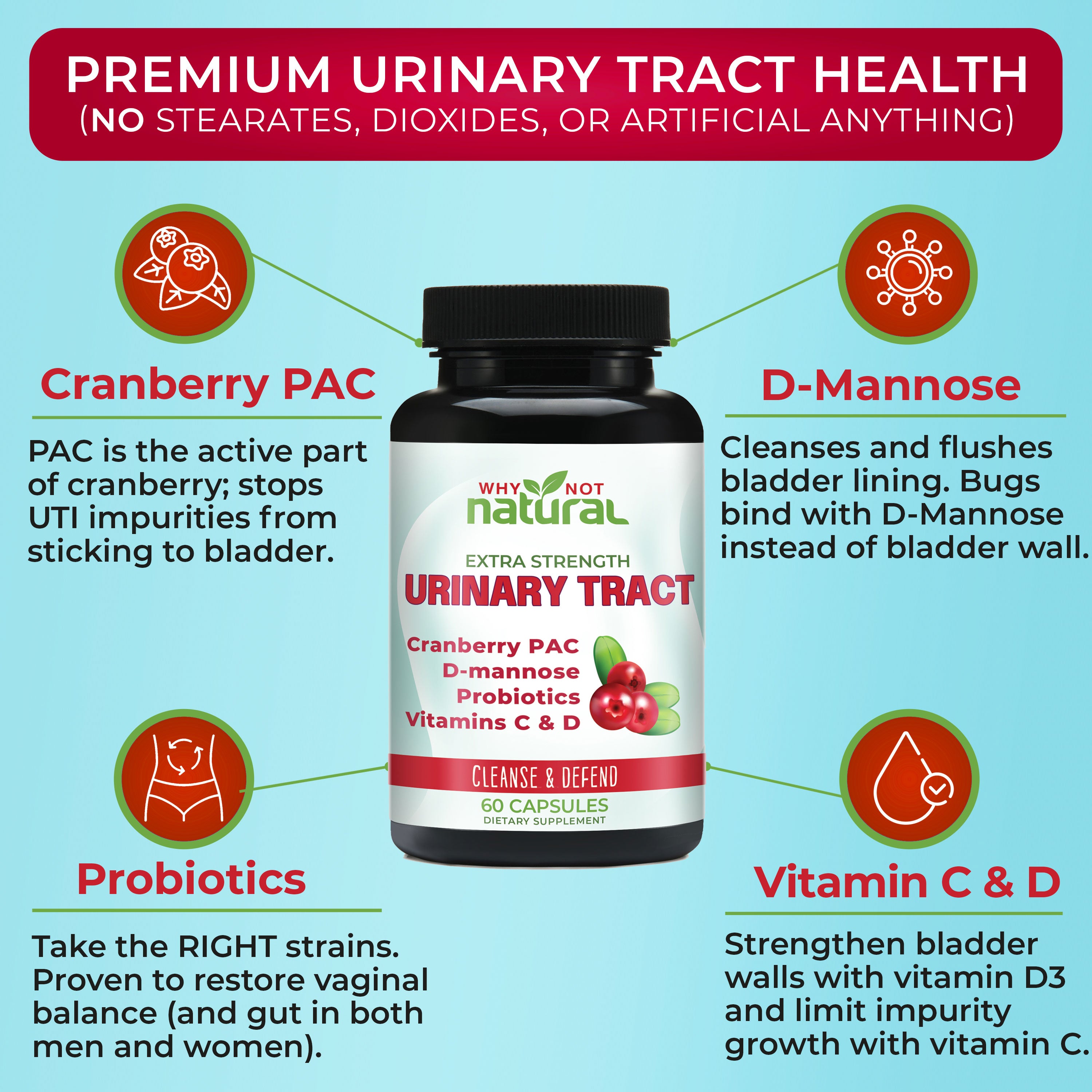 Bottle of Why Not Natural urinary tract capsules at center with 4 icons surrounding it representing the ingredients with their description below.