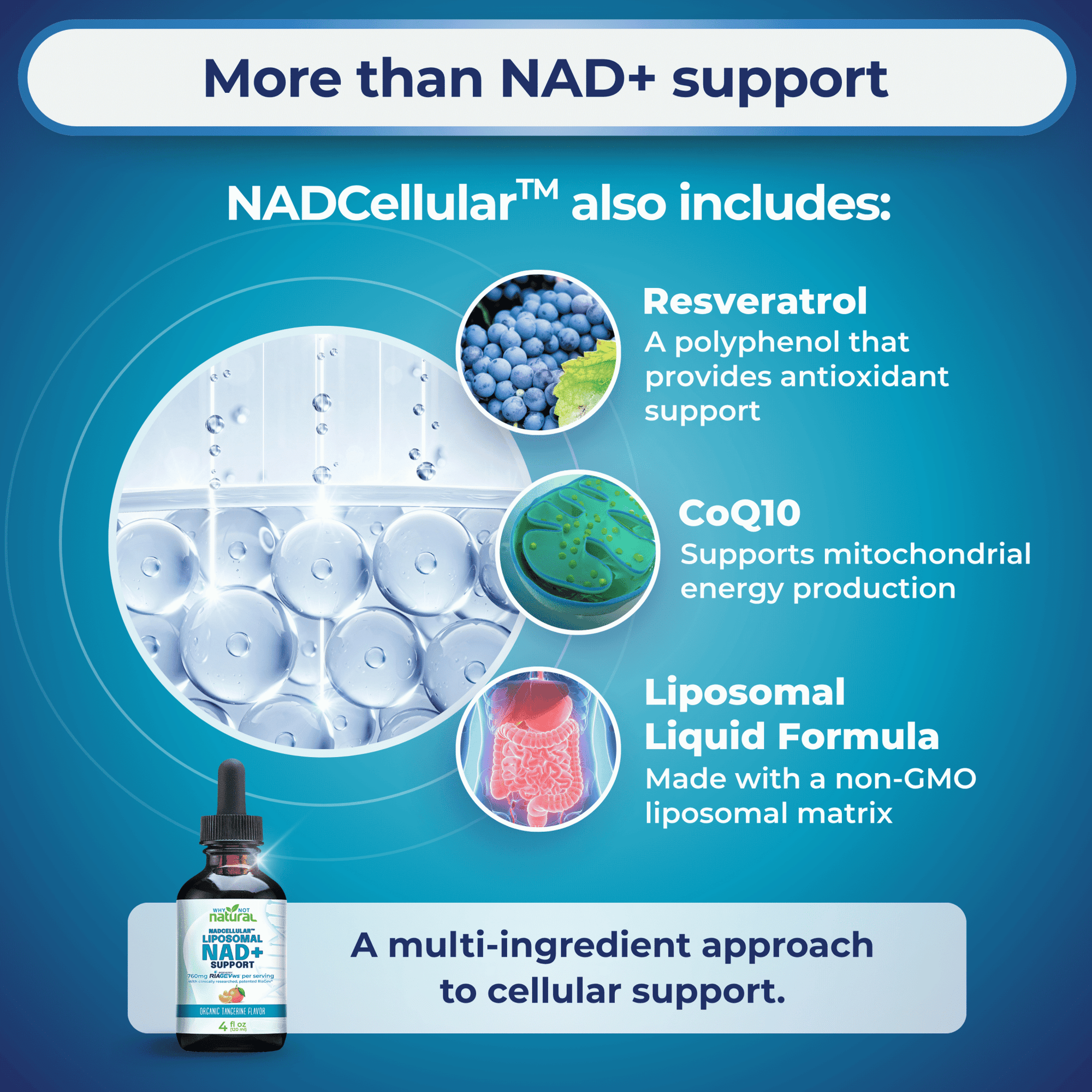 Liposomal NAD+ Booster - WhyNotNatural
