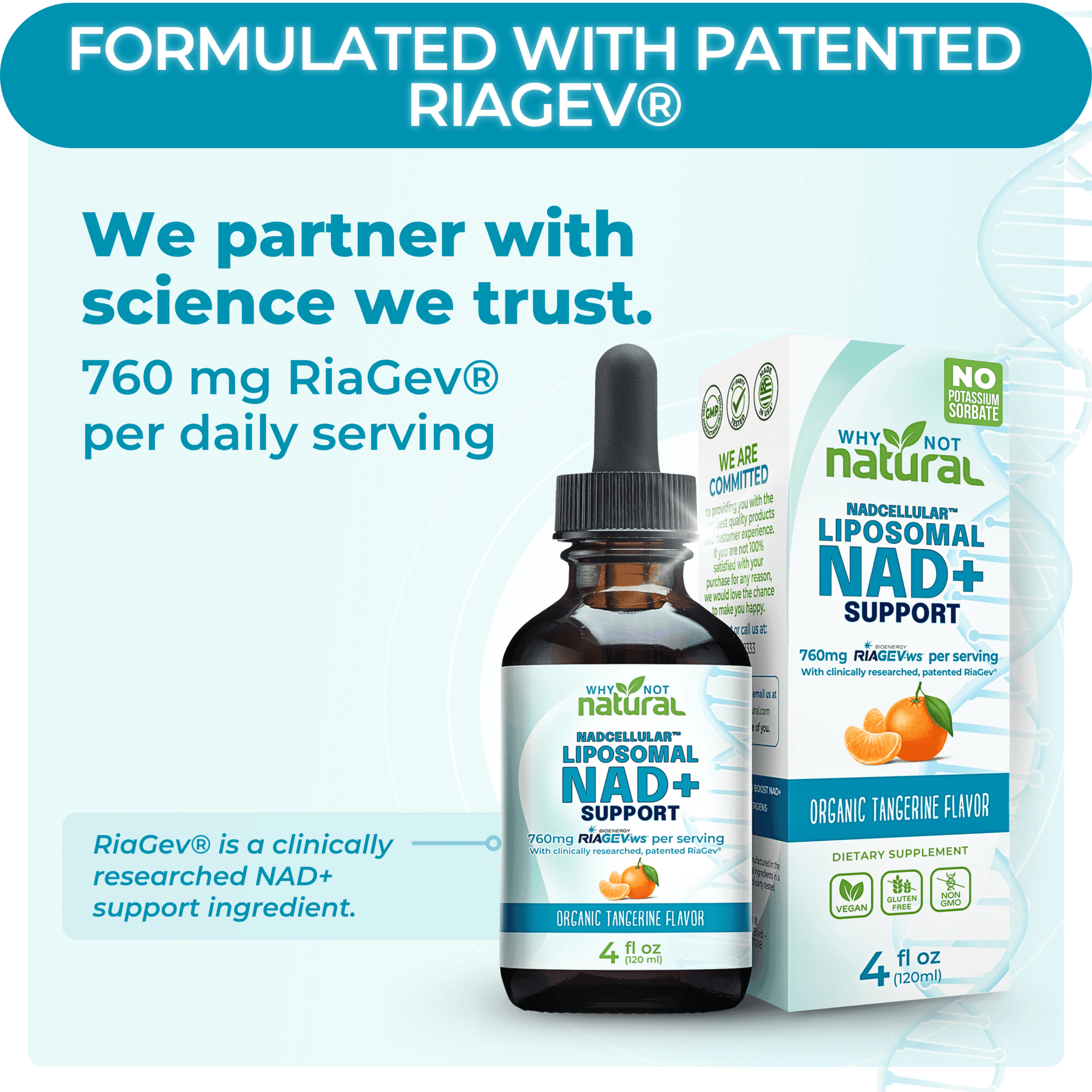Liposomal NAD+ Booster - WhyNotNatural
