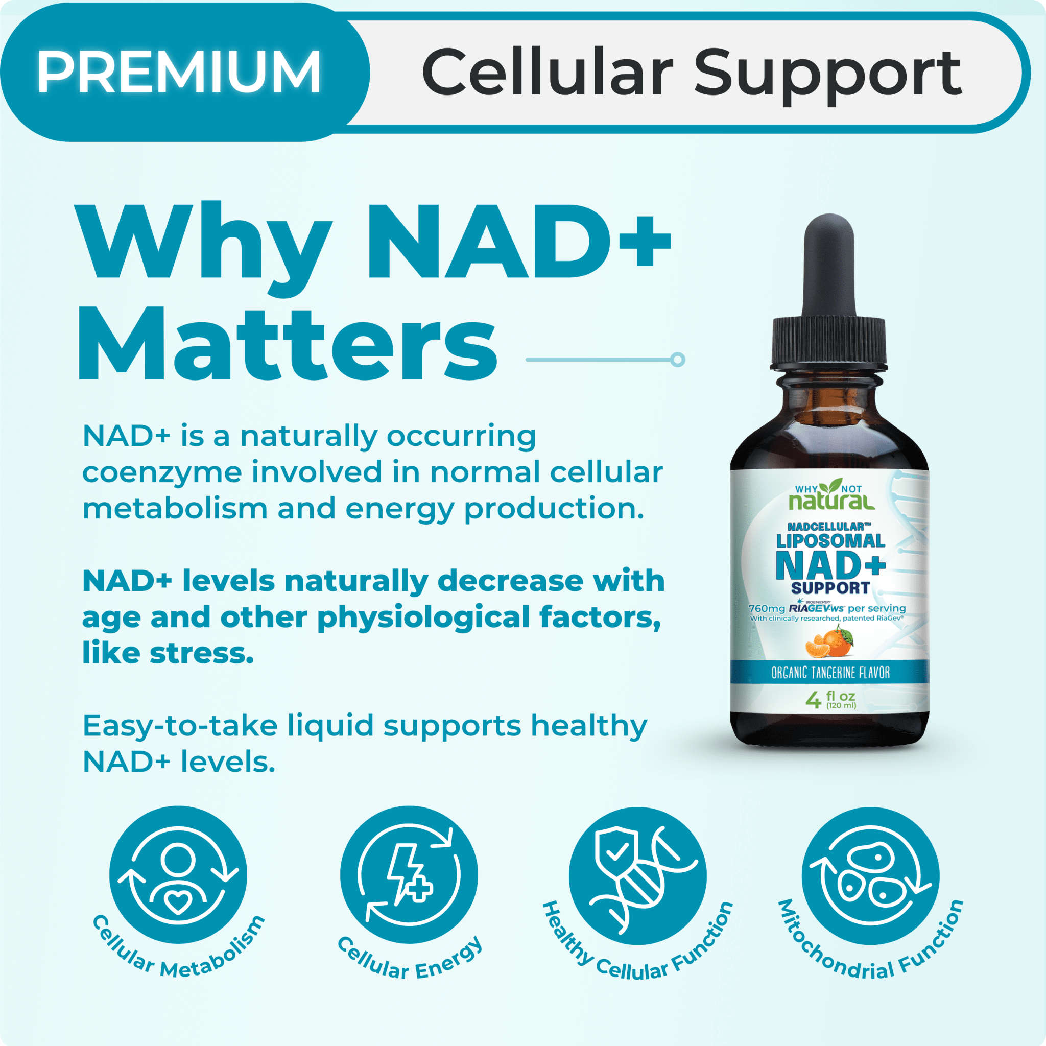 Liposomal NAD+ Booster - WhyNotNatural