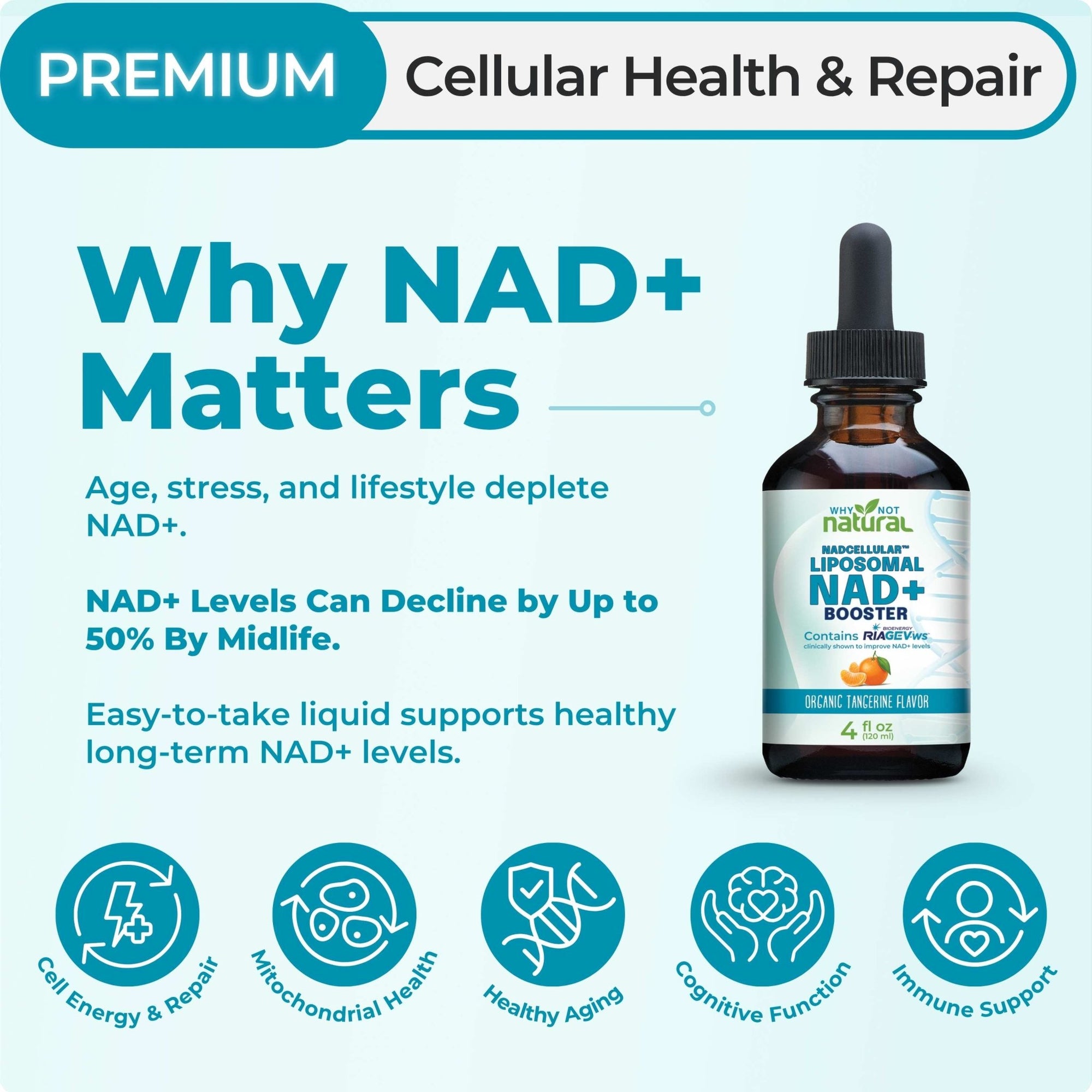 Liposomal NAD + Booster - WhyNotNatural