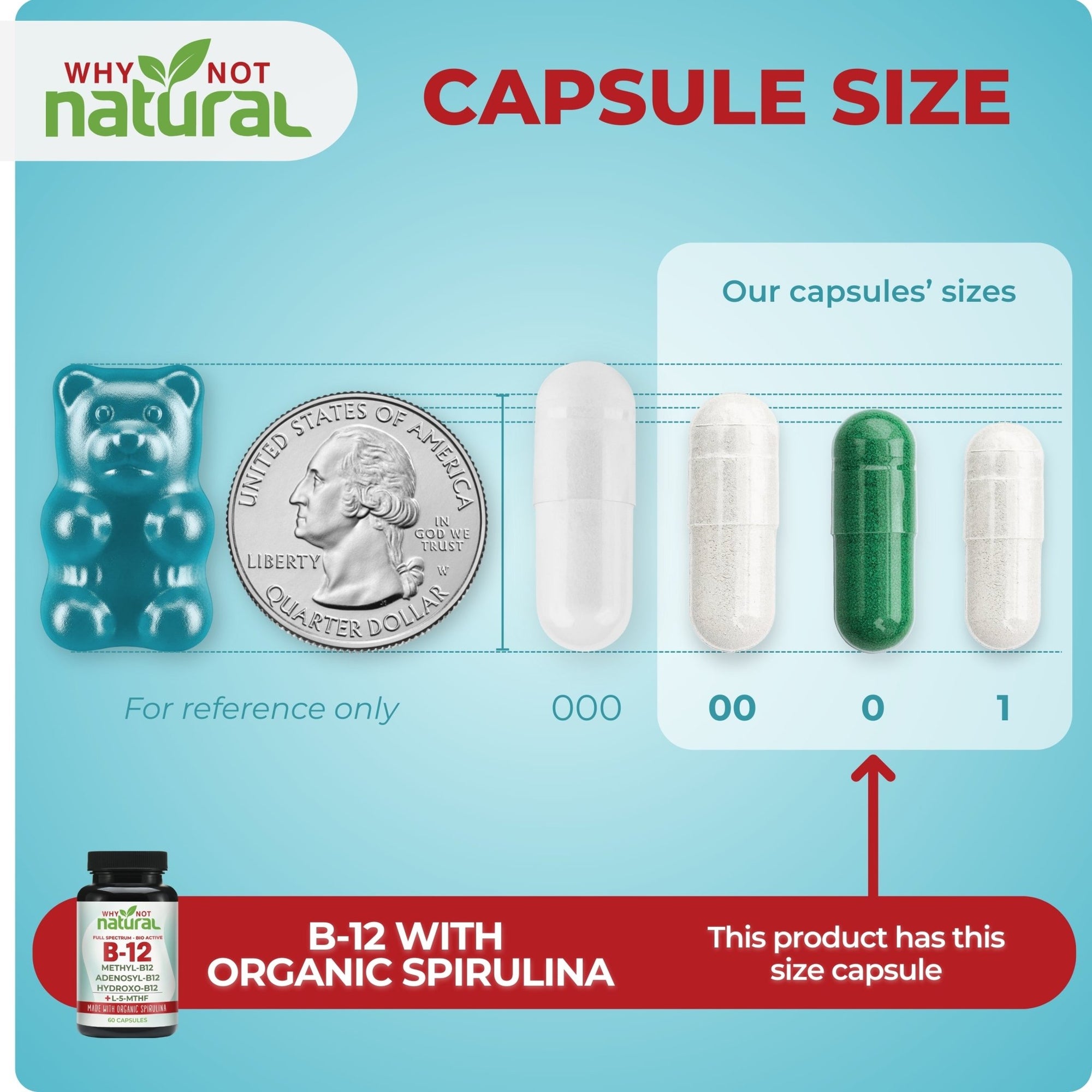 Vitamin B12 Full - Spectrum Capsules - WhyNotNatural