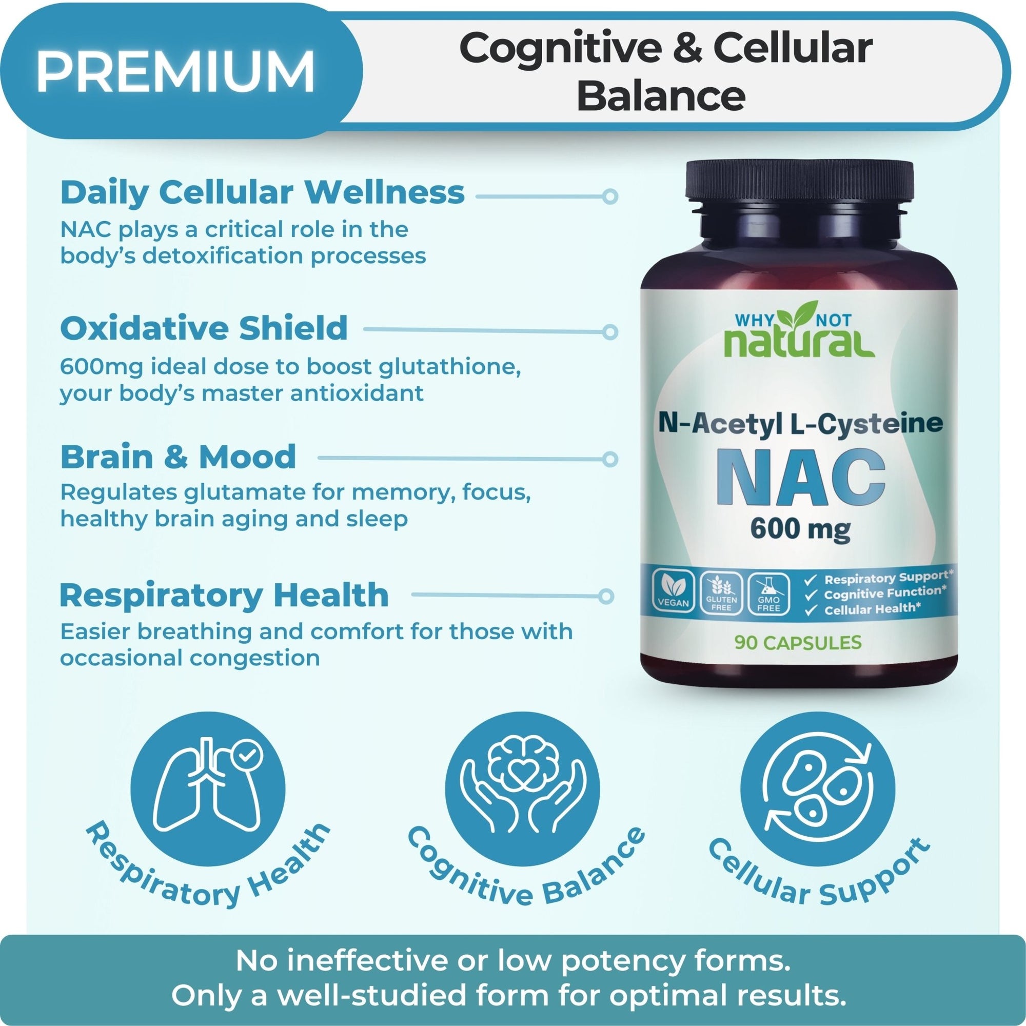 Why Not Natural NAC Supplement 600 mg, n - Acetyl cysteine Capsules - WhyNotNatural