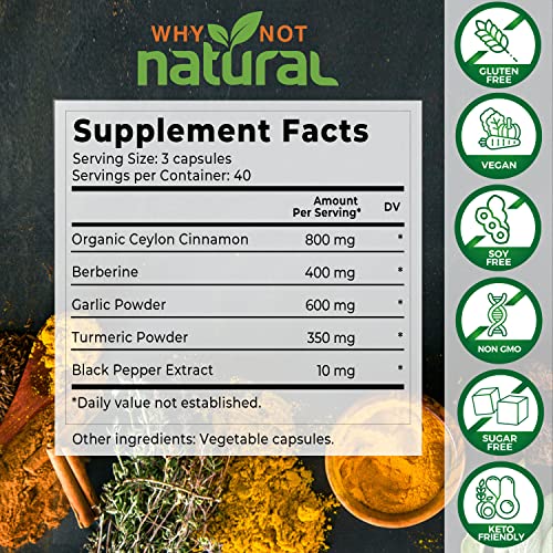 Supplement facts panel for organic ceylon cinnamon blend with various herbs in background on top of slate. Right column has icons representing each feature, for example sugar cubes crossed out for "sugar free".