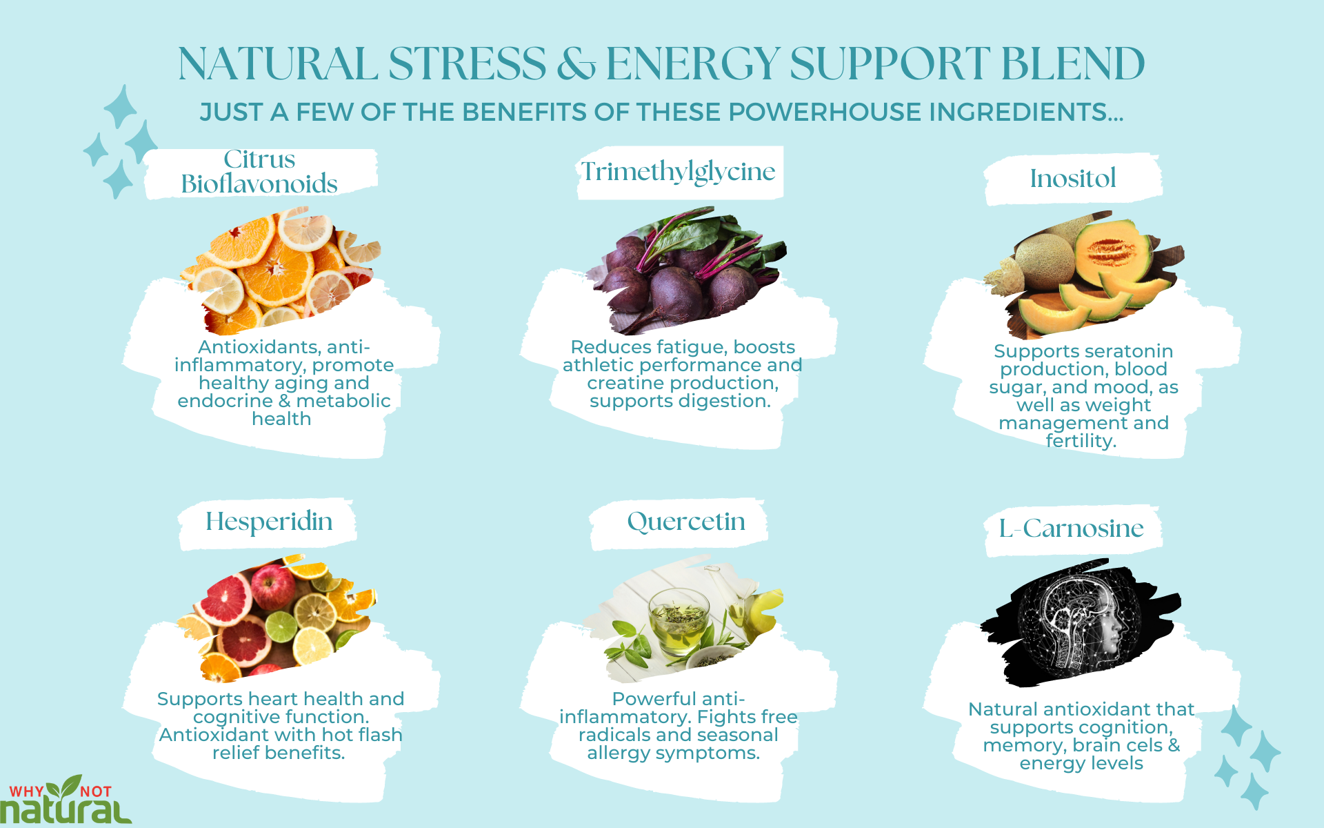 Natural Stress And Energy Support Blend