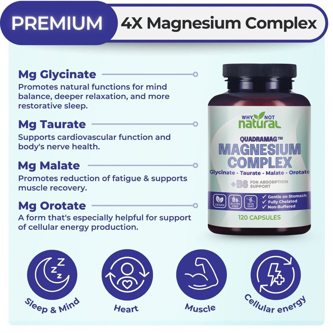 Premium 4X Magnesium Complex infographic with bottle, form benefits, and Sleep / Heart / Muscle / Cellular Energy icons